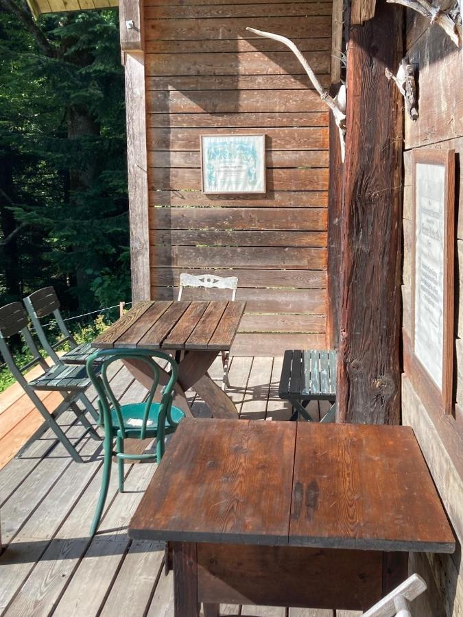 Charmante Gästewohnung in altem Bauernhaus in alpiner Alleinlage Stanz Im Murztal Exterior foto