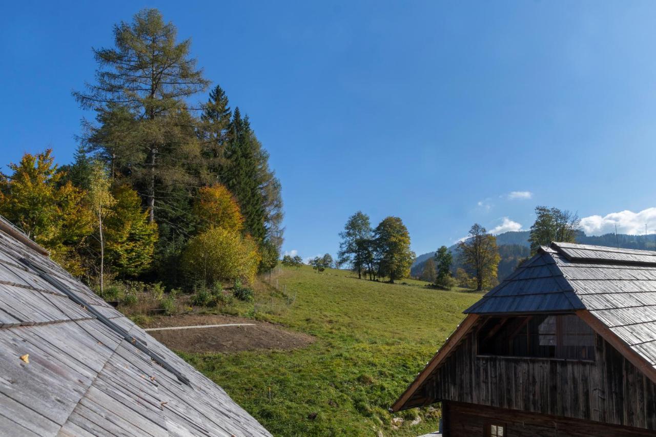 Charmante Gästewohnung in altem Bauernhaus in alpiner Alleinlage Stanz Im Murztal Exterior foto